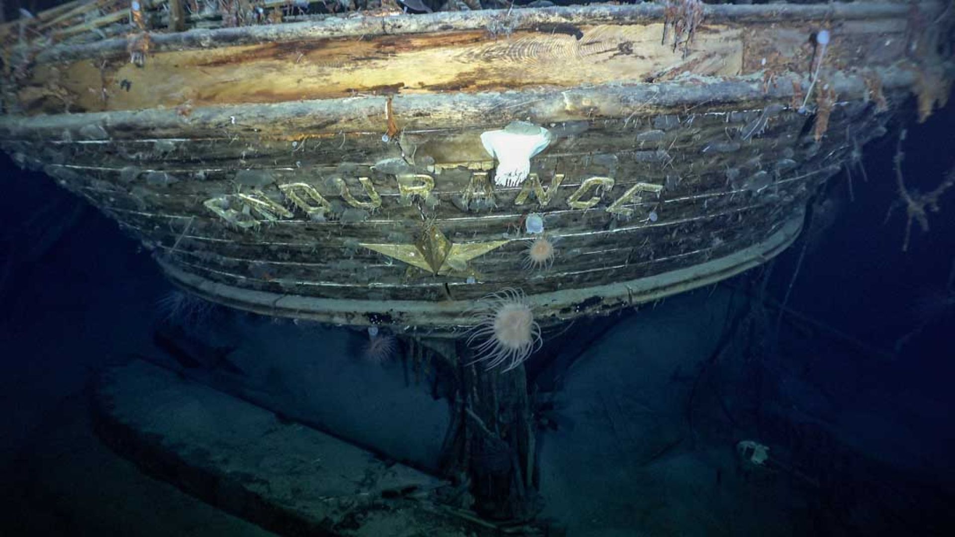 National Geographic Unveils ‘ENDURANCE’: A Modern Quest to Unearth Shackleton’s Lost Ship